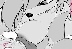 1boy 2girls amy_rose anus ass assisted_sex breasts furry imminent_penetration imminent_sex large_breasts monochrome partially_colored penis sega sonic_(series) straight tail tcprod text threesome veins veiny_penis