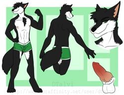 1boy animal_genitalia animal_penis anthro balls canine canine_penis clothing dtalvi erection knot looking_at_viewer male male_only mammal model_sheet penis smile solo underwear