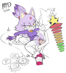 blaze_the_cat breasts furry hedgehog mammal marthedog penis pussy sega sex sonic_(series) sonic_the_hedgehog torn_clothing vaginal_penetration