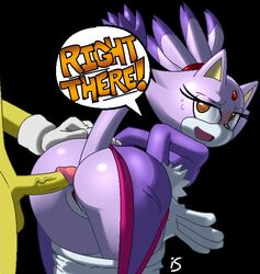blaze the cat from sonic (series) by hotred