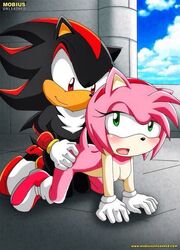 amy rose from sonic (series) by bbmbbf