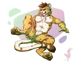 1boy anthro anus ass balls cheetah claws feline hindpaw looking_at_viewer male male_only mammal nude pawpads paws solo spread_ass spreading toe_claws twistedhound