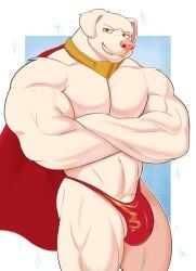 2022 abs absurd_res anthro barazoku biceps big_bulge big_muscles blue_background border bulge canid canine canis cape clothed clothing collar crossed_arms dc_comics doggonut domestic_dog fur genitals hi_res huge_muscles krypto krypto_the_superdog looking_at_viewer male male_focus male_only mammal muscular muscular_anthro muscular_male narrowed_eyes navel pecs penis penis_base quads simple_background smile solo standing superhero teeth thisishomo thong topless topless_anthro topless_male tuft underwear white_border