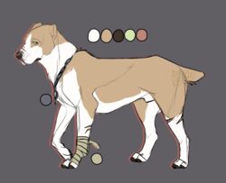 animal_genitalia bandage canine feral fur jewelry looking_at_viewer male mammal model_sheet necklace plgdd scar sheath solo