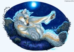 2016 anthro black_lips black_nose breasts canine female fur furry green_eyes grey_fur kashmere mammal moon night nude outdoors pawpads pussy sky smile solo star starry_sky wolf