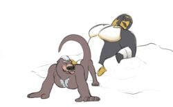 2boys anal anal_sex ass avian bara bird fur furry furry_only gay male male_only mammal muscular muscular_male mustelid otter penguin sex simple_background surf's_up tagme unknown_(artist) white_background yaoi