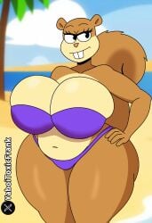 sandy cheeks from nickelodeon by yaboitoxicfrank
