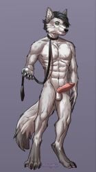 abs balls canid canine canis choker genitals hi_res jewelry looking_at_viewer male mammal necklace paws penis seraphimka_(artist) simple_background solo tail wolf