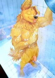 abs canine dog_boy ear feet flaccid flaccid_penis foreskin i_think_i_like_you i_think_i_like_you_(artist) locker_room male male_only muscular muscular_male nude nude_male penis ray_(i_think_i_like_you) shower showering showing_off towel uncircumcised uncut