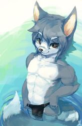 1boy abs anthro arcticneu athletic bulge canine clothing flaccid furry male_only mammal naughty_face partially_submerged pecs penis penis_outline signature solo speedo standing swimsuit underwear_pull wolf