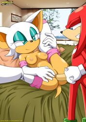 1boy 1girls female inserting insertion knuckles_the_echidna legs_up male missionary missionary_position missionary_sex mobius_unleashed palcomix rouge_the_bat sex sonic_(series)