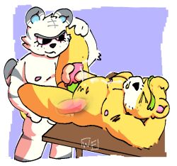 animal_crossing animal_genitalia animal_penis anthro bear chubby_male cum cum_inside furry furry_only gay nate_(animal_crossing) nintendo rolf_(animal_crossing) simple_background tiger