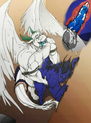 angel_dragon anthro dragon erection joaobear male penis rafaelxd23 sckhar yaoi