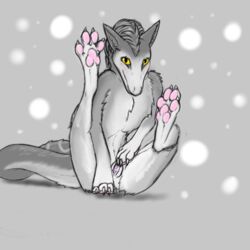 2016 4_toes blush claws dragon drayke_eternity female feral fur grey_background grey_fur grey_hair hair hi_res hybrid legs_up looking_at_viewer mammal mustelid otter pawpads pink_pawpads pussy simple_background solo toe_claws toes yellow_eyes