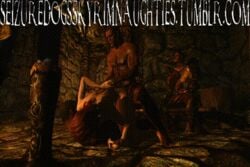 3d aela_the_huntress animated redguard seizuredogsskyrimnaughties sexlab skyrim the_elder_scrolls