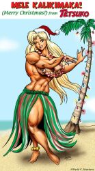 abs beach biceps big_breasts big_muscles blonde_hair breasts christmas dcmatthews female hair huge_breasts hula_dancer large_breasts large_muscles long_hair muscles muscular_arms muscular_female muscular_legs muscular_thighs palm_tree sand santa_hat tetsuko tree water