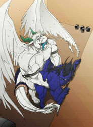 angel_dragon anthro dragon erection joaobear male penis rafaelxd23 sckhar yaoi