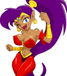 blue_eyes breasts dark_skin djinn large_breasts long_hair nipples ponytail purple_hair shantae shantae_(character) smooth_skin transparent_background warnerc