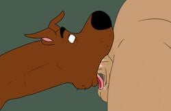 2boys animated balls blowjob canid canine cock_gobble cock_hungry dangerdoberman deepthroat domestic_dog eyes_rolled_up facefuck fellatio fellatio_from_feral feral fred_jones gay genitals gif giving_head going_down_on hanna-barbera head_out_of_frame human human_on_feral interspecies irrumatio male male_on_feral male_only mammal oral oral_penetration oral_sex penis penis_in_mouth penis_shaped_bulge saliva scooby-doo scooby-doo_(character) sucking_off swallowing_penis_while_deepthroat swinging_balls testicles throat_bulge throat_fuck thrusting_into_mouth tongue tongue_out tongue_out_blowjob yaoi zoophilia