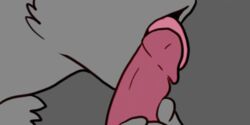 2016 ambiguous_gender animated close-up duo erection felineelement female grey_background licking loop male penis rotoscoping simple_background tongue tongue_out