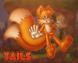 anthro balls blue_eyes blush canine chokodonkey clothing erection footwear fox fur gloves hair looking_at_viewer male male_only mammal penis smile solo sonic_(series) tails