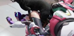 1dog Rule 34 Video