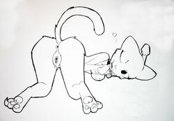 anthro anus ass bell breasts claws collar feline feline female foot_focus fur heart katia_managan khajiit licking mammal monochrome nude open_mouth pawpads paws prequel presenting pussy simple_background smile solo the_elder_scrolls toe_claws toes tongue tongue_out unknown_artist video_games