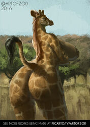 2017 anthro ass bhavfox big_breasts big_butt breasts female giraffe invalid_tag looking_back mammal nipples nude pussy raised_tail savanna sideboob tree