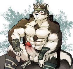 2017 5_fingers abs balls black_fur black_nose blush canine chest_tuft clothing erection fur headband horkeukamui humanoid_penis legwear loincloth loincloth_aside male male_only mammal multicolored_fur one_eye_closed penis precum sitting solo tokyo_afterschool_summoners tuft vambrace vein white_fur wolf wulfer-shepherd yellow_eyes