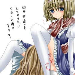 alice margatroid from touhou by nanase nao