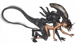 1boy 1boy1girl 1girls alien alien/human alien_(franchise) female female_human femsub human human_female interspecies male male/female male_xenomorph miravi rape sex straight tagme tail_sex xenomorph