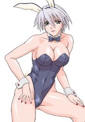 1girls christie_(doa) dead_or_alive female rudoni tagme tecmo