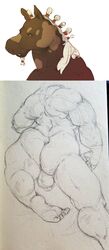 anthro balls equine flaccid horse looking_at_viewer male male_only mammal muscular opblaaskrokodil overweight penis sketch solo traditional_media_(artwork)