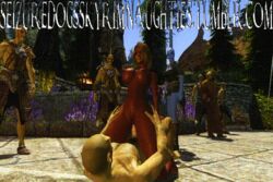 animated seizuredogsskyrimnaughties sexlab skyrim tesv the_elder_scrolls