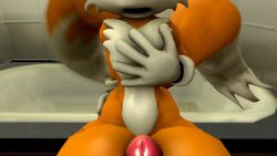 2017 3d 3d_model animated anthro bathroom big_breasts big_penis breasts canine darksorm duo erect_nipples erection female female_pov fox furry gif girly highres huge_breasts huge_cock male mammal mobian mobian_(species) mobian_bat nipples paizuri penis pov rouge_the_bat sega sonic_(series) sonic_adventure_2 sonic_the_hedgehog_(series) straight tails taker_pov