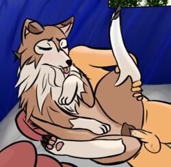 lycanroc from nintendo by anglo