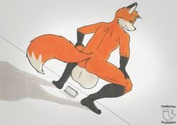 anthro ass backsack balls big_balls canine crouching fox huge_balls hyper hyper_balls looking_at_viewer looking_back male male_only mammal multicolored_tail nude raised_tail simple_background smile solo spread_legs spreading tea_bagging tiedernas_pocketfox