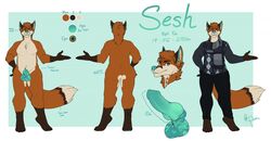 animal_genitalia animal_penis anthro balls canine canine_penis clothed clothing erection fox fur hair knot male mammal model_sheet nude penis redpixie sheath slightly_chubby smile solo standing