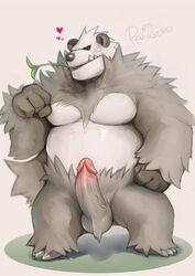 1boy anthro barefoot bear belly big_hands big_penis blush claws closed_eyes erection fangs feet fur furry grey_background grey_fur hand_on_hips heart iceman1984 male male_only mammal mouth_hold nintendo no_nipples nude open_mouth overweight panda pangoro paws pecs penis pokemon pokemon_xy sharp_teeth solo standing teeth testicles text thick_thighs veins veiny_penis video_games white_fur wide_hips