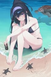 1girls absurd_res absurdres ankles ass bare_arms bare_belly bare_calves bare_chest bare_hands bare_hips bare_knees bare_legs bare_midriff bare_navel bare_shoulders bare_skin bare_thighs bare_toes barefoot beach bikini bikini_bottom bikini_only bikini_top black_hair black_hair_female blue_archive blue_eyes blue_eyes_female blush blush_face blush_lines blushing_at_viewer blushing_female breasts calves cleavage coast coffee_can collarbone elbows embarrassed embarrassed_expression embarrassed_female exposed_arms exposed_belly exposed_chest exposed_hips exposed_legs exposed_midriff exposed_navel exposed_shoulders exposed_skin exposed_thighs exposed_toes feet female female_focus female_only fingernails fingers full_body hair_between_eyes hairband hand_on_knee hand_on_leg hand_on_own_knee hand_on_own_leg head_tilt high_resolution high_school_student highres knees knees_together knees_together_feet_apart lean_figure legs legs_closed legs_together legs_together_feet_apart light-skinned light-skinned_female light_skin light_skin_female light_skinned light_skinned_female long_hair looking_at_viewer medium_breasts midriff narrow_waist ocean outdoor outdoors outside pale pale-skinned_female pale_skin pale_skinned_female ponytail rikuhito_juusan sand school_girl sea sea_turtle seaside shoulders sitting slender_body slender_waist slim_waist soaked solo string_bikini swimsuit swimwear teen_girl teenage_girl teenager thighs tilted_head toes turtle turtles ui_(blue_archive) very_long_hair water wet wet_ass wet_body wet_pussy wet_skin white-skinned_female white_skin white_skinned_female young_female young_woman