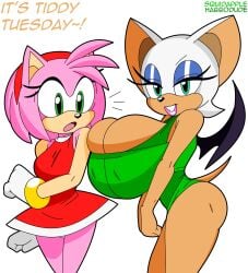 accessory amy_rose anthro bat big_breasts bracelet breast_envy breast_squish breasts cleavage clothed clothing dress duo eulipotyphlan eyeshadow female fur gloves green_clothing green_eyes green_leotard habbodude hair_accessory hairband handwear hedgehog hi_res huge_breasts jewelry leotard lipstick makeup mammal pink_body pink_fur rouge_the_bat sega shocked sonic_(series) sonic_the_hedgehog_(series) squidapple squish swimwear tight_clothing white_body white_fur wings