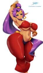 shantae (character) from shantae by spindles
