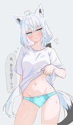 shirakami fubuki from hololive by artist request