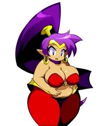 shantae (character) from shantae by niyuyu