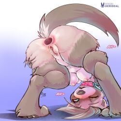 1:1 anthro anus black_nose blue_eyes breasts brown_body brown_fur collar derideal female fur gaping gaping_anus genitals hi_res kiaun mammal mix_(derideal) mustelid musteline nipples nude nude_female one_eye_closed pussy solo true_musteline weasel