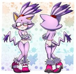 Sonic (Series) Rule 34 Image