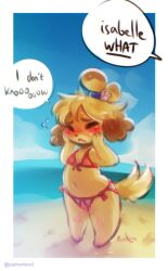 animal_crossing anthro beach blush bodily_fluids canid canine canis censored clothing crotchless_clothing crotchless_swimwear day detailed_background dialogue domestic_dog embarrassed english_text female hand_on_face isabelle_(animal_crossing) mammal navel nintendo outside panken pixelated sea shih_tzu solo speech_bubble sweat swimwear text toy_dog two-piece_swimsuit water