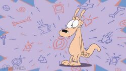 2d_animation animated anthro balls bulging_eyes cartoon_physics feet flaccid foxbtails frame_by_frame fur genitals macropod male mammal marsupial nickelodeon nude penis rocko's_modern_life rocko_rama solo tan_body tan_fur toony wallaby