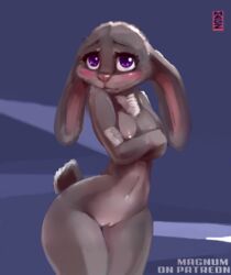 anthro blush breasts chest_tuft cute disney female fur furry furry_only grey_fur innocent judy_hopps lagomorph mammal naked nipples nude penis pornomagnum purple_eyes pussy rabbit small_breasts solo solo_female tail tuft zootopia