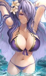 camilla (fire emblem) from fire emblem by arerex